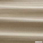 ao-thun-BTM-soc-ngang-gan (7)